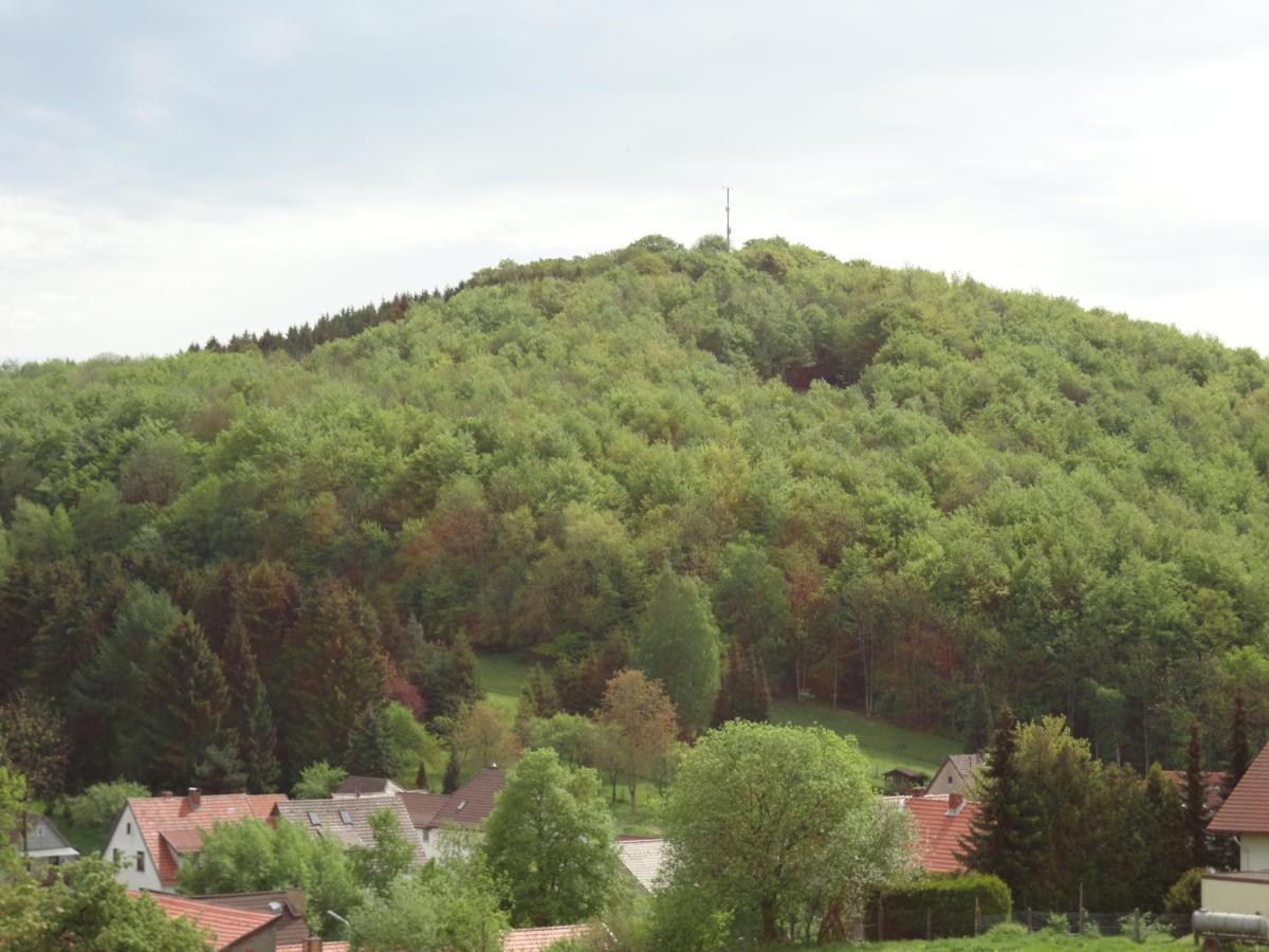 Der Fuchsbau - Fewo Lepetit - Im Sonnigen Harz - Hunde Willkommen - 100M Bis Zum Wald - Free Wlan Appartement Bad Sachsa Buitenkant foto