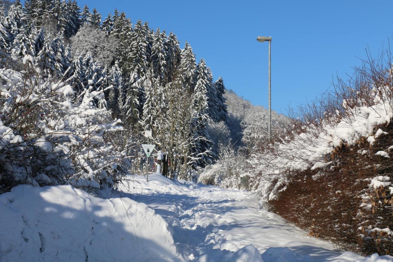 Der Fuchsbau - Fewo Lepetit - Im Sonnigen Harz - Hunde Willkommen - 100M Bis Zum Wald - Free Wlan Appartement Bad Sachsa Buitenkant foto